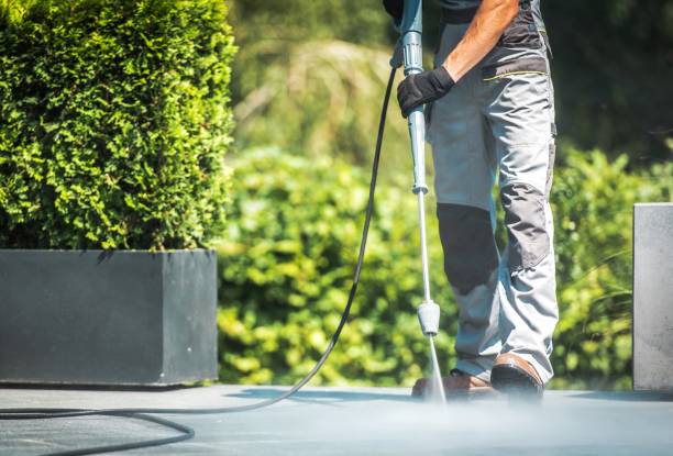 Best Roof Washing  in Luray, VA