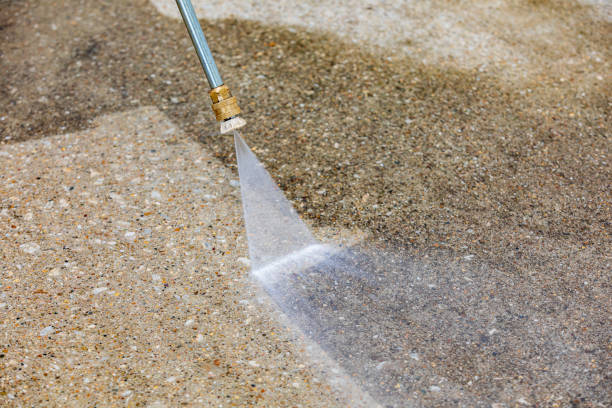 Trusted Luray, VA Pressure Washing Services Experts