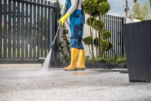 Best Rust Removal  in Luray, VA