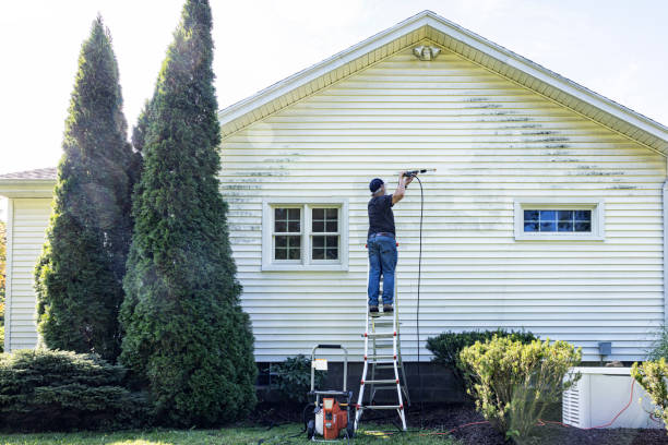 Best Building Exterior Washing  in Luray, VA